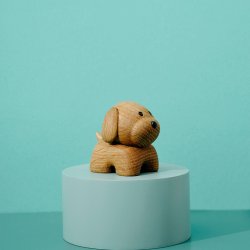 Lucie Kaas NUTTI Hunden Vuffer