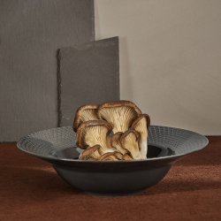 Lyngby Porceln Rhombe Earth Dyb Tallerken 24,5 cm Slate