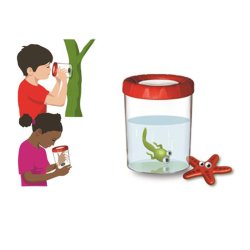 Magni Navir Mega Insektglas med forstrrelsesglas og Omvendt Display