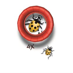 Magni Navir Mega Insektglas med forstrrelsesglas og Omvendt Display