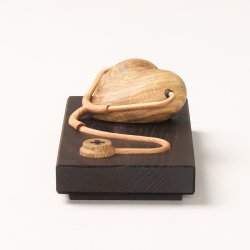 Maya Soele HEALTHCARE