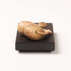 Maya Soele HEALTHCARE