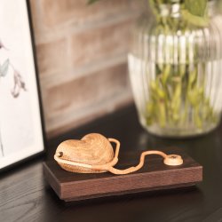 Maya Soele HEALTHCARE