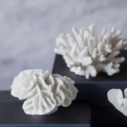 Mette Ditmer Coral Dekoration - Gills