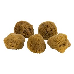 Mette Ditmer Ocean Svamp - Ansigt 5 stk. - Dark