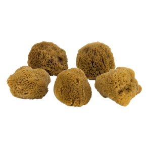 Mette Ditmer Ocean Svamp - Ansigt 5 stk. - Dark