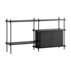 Moebe Shelving System Standard Cabinet