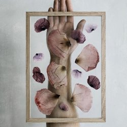 Moebe Frame - Ramme - Eg A4