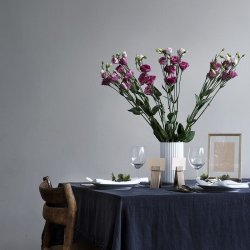 Moebe Pinch - Klemme