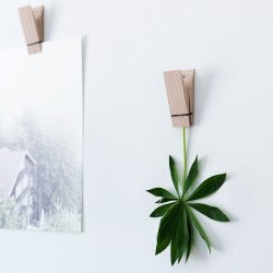 Moebe Pinch - Klemme