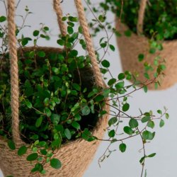 Moud Home Hngepotte Jute 