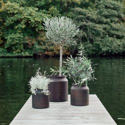 Muubs Sai Krukke H26 Rust