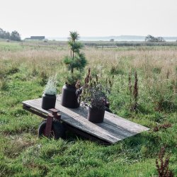 Muubs Sai Krukke H34 Rust