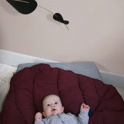 Nofred Tppe - Leaf - Burgundy