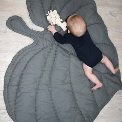 Nofred Tppe - Leaf - Gr