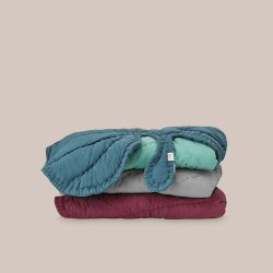 Nofred Tppe - Leaf - Gr