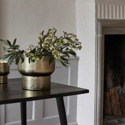 Nordal Alimia Urtepotte - Stor 