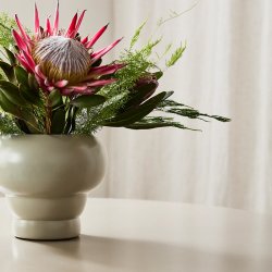 Nordal AVES Urtepotte Gr