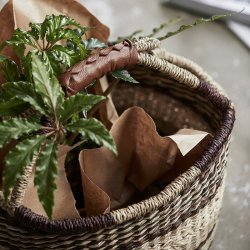 Nordal Fanny Fletkurv