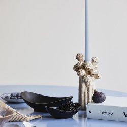 Nordal Fungi Lysestage