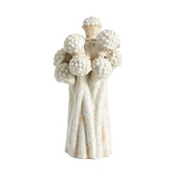 Nordal Fungi Lysestage