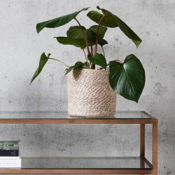 Nordal Jute Urtepotte - Natur - S