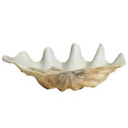 Nordal Kichi Muslingeskal - Large - Hvid/Beige