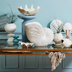 Nordal Kichi Muslingeskal - Small - Hvid/Brun