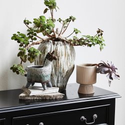 Nordal Kjelmo Urtepotte - Stentj