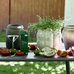 Nordal LUMERA Cocktailglas Kromfinish