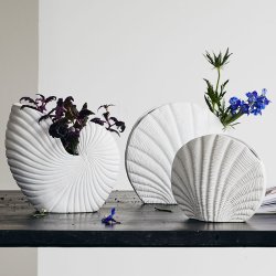 Nordal Kapiti Muslingskal Vase - H25 cm - Hvid