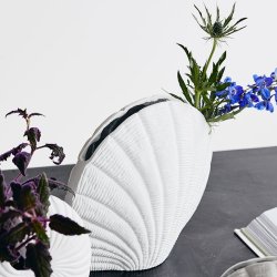 Nordal Kapiti Muslingskal Vase - H20 cm - Hvid