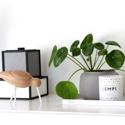 Nur Tray Bakke Large - Hvid