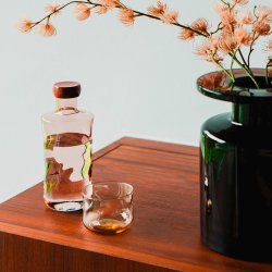 Paveau Swirl Small Tumbler Glas 2stk Silt