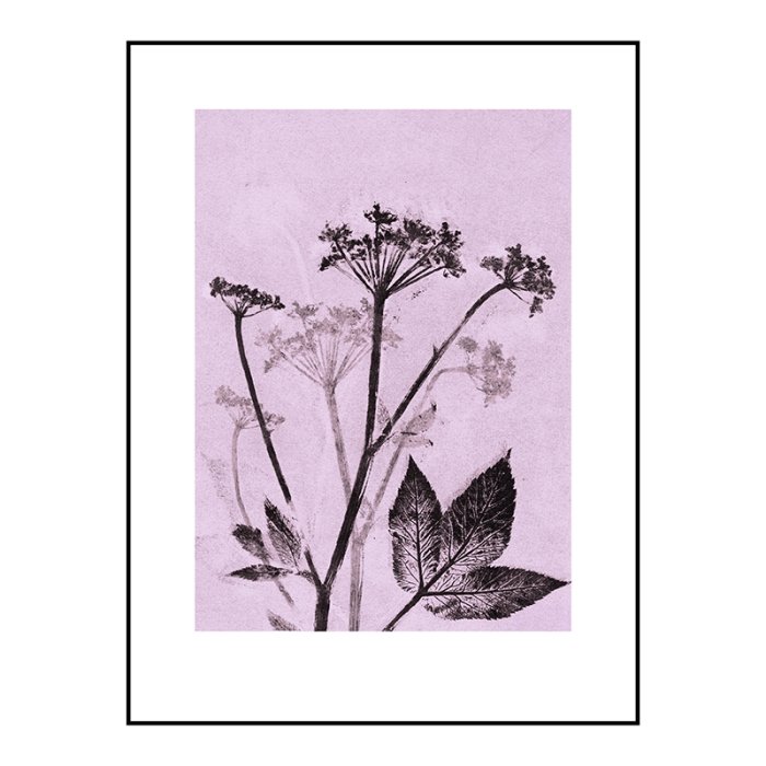 Pernille Folcarelli Groundelder Violet 30x40 cm