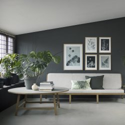 Pernille Folcarelli Hortensia Black 30x40 cm