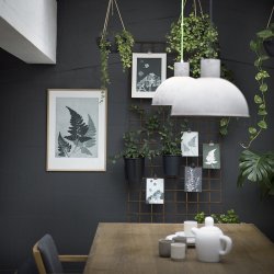 Pernille Folcarelli Hortensia Black 30x40 cm