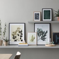 Pernille Folcarelli Birch Emerald 30x40 cm