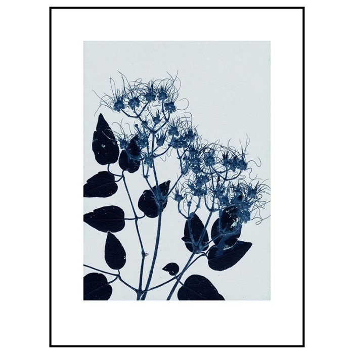 Pernille Folcarelli Clematis Blue 30x40 cm