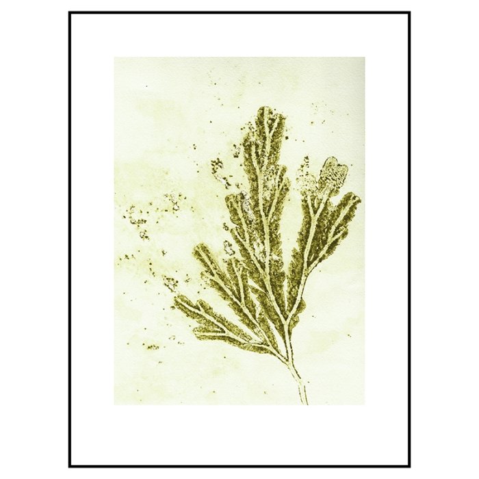 Pernille Folcarelli Seaweed Ochre Green 30x40 cm