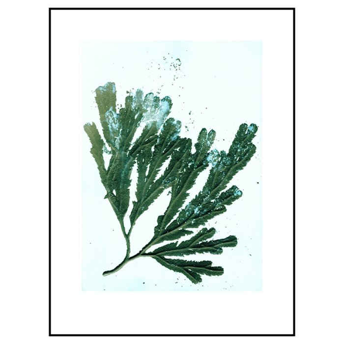 Pernille Folcarelli Seaweed Sea Green 30x40 cm