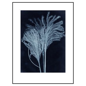 Pernille Folcarelli Silvergrass 1 Midnight Blue 30x40 cm
