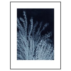 Pernille Folcarelli Silvergrass 2 Midnight Blue 30x40 cm