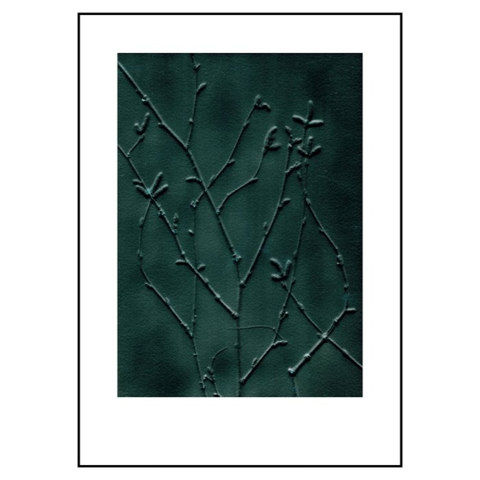 Pernille Folcarelli Birch Emerald 50x70 cm