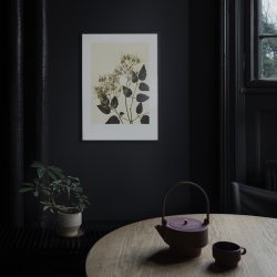 Pernille Folcarelli Clematis Ochre Green 50x70 cm