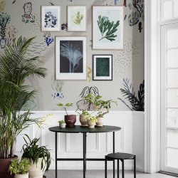 Pernille Folcarelli Silvergrass Midnight Blue 50x70 cm