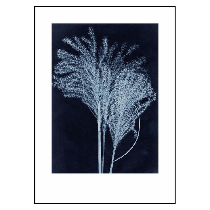Pernille Folcarelli Silvergrass Midnight Blue 50x70 cm