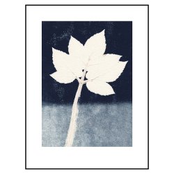 Pernille Folcarelli Goutweed 1 Ink 30x40 cm