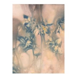 Pernille Folcarelli Columbine 1 Blue/Tan 30x40 cm