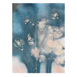 Pernille Folcarelli Columbine 2 Peach/Blue 30x40 cm